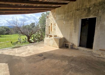 20260303_110423.jpg - Terreno agricolo Traversa Grotta Perciata, Siracusa - foto 14