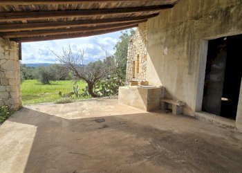 20260303_110429.jpg - Terreno agricolo Traversa Grotta Perciata, Siracusa - foto 15