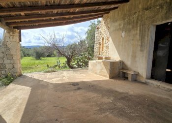 20260303_110431.jpg - Terreno agricolo Traversa Grotta Perciata, Siracusa - foto 16