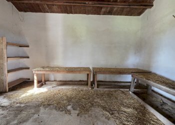 20260303_110454.jpg - Terreno agricolo Traversa Grotta Perciata, Siracusa - foto 17