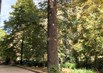 1.jpg - Apartment Bologna (neighborhood Murri) - photo 1