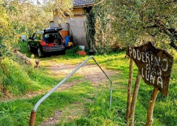 79c0134c-9783-4760-9da1-4f2c73c9d1cf.jpg - Casa indipendente Vezzano Ligure - foto 3