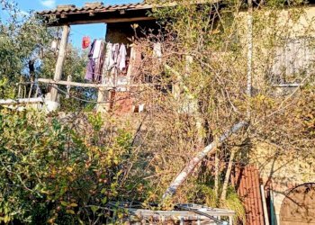 5cfd7666-1b74-48c8-ba7f-abbab75c1586.jpg - Casa indipendente Vezzano Ligure - foto 5