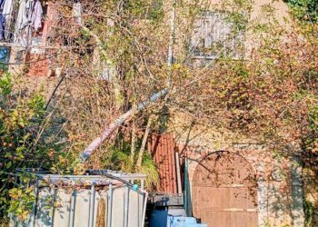 d45952bf-f997-454e-95bf-3f7c3c62f661.jpg - Casa indipendente Vezzano Ligure - foto 7