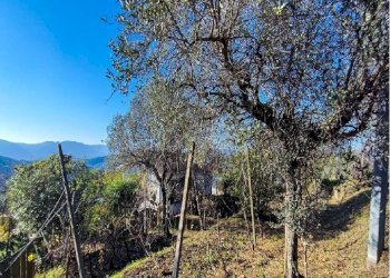 ma1.jpg - Casa indipendente Vezzano Ligure - foto 9