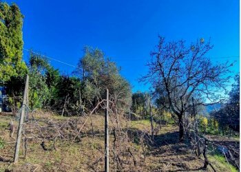 ma2.jpg - Casa indipendente Vezzano Ligure - foto 10