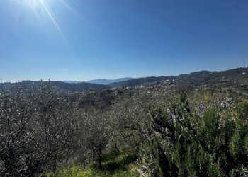 1fa06020-79e3-4a82-9ab6-8374f712e9fe.jpg - Casa indipendente Vezzano Ligure - foto 9