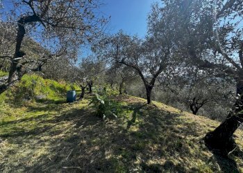 0b4f18ad-d0cd-4021-890f-58f8e0314ed4.jpg - Casa indipendente Vezzano Ligure - foto 10