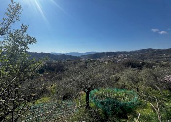 3ead7d3a-1da7-45c2-90b9-e371864eab65.jpg - Casa indipendente Vezzano Ligure - foto 11