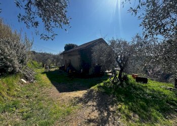 d45952bf-f997-454e-95bf-3f7c3c62f661.jpg - Casa indipendente Vezzano Ligure - foto 15