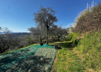 765bcc83-4509-4ac1-9c50-665cd04f4a4e.jpg - Casa indipendente Vezzano Ligure - foto 25