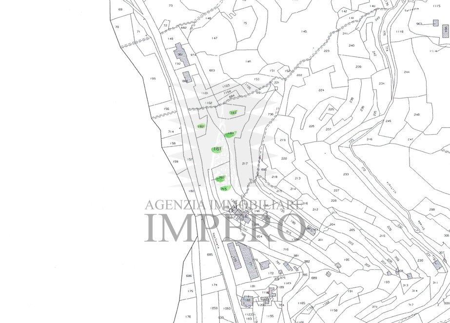plan.png - Terreno agricolo Corso Limone Piemonte snc, Ventimiglia - planimetria 1