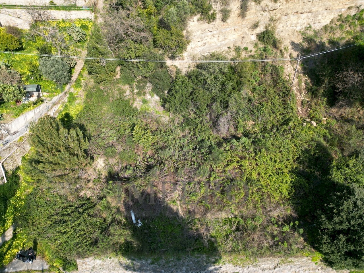 DJI_0780.JPG - Terreno agricolo Corso Limone Piemonte snc, Ventimiglia - foto 1