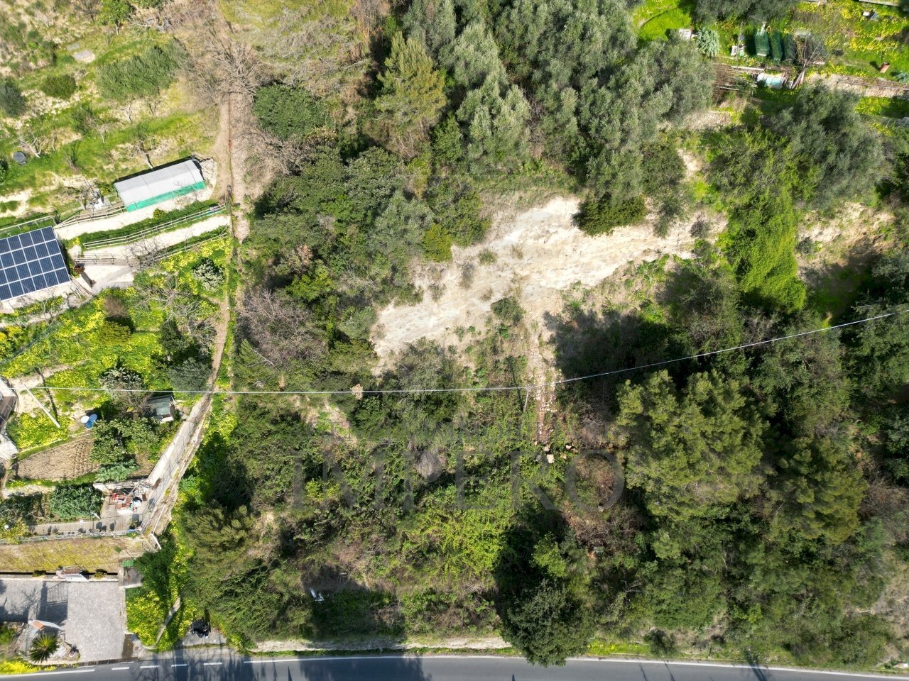 DJI_0781.JPG - Terreno agricolo Corso Limone Piemonte snc, Ventimiglia - foto 2
