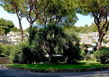 ingresso nel complesso - Bilocale Via Aurelia 48, Andora - foto 19