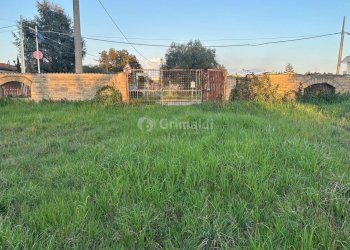 5.jpg - Terreno agricolo Via Gavi 6, Aprilia - foto 5