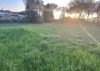 6.jpg - Terreno agricolo Via Gavi 6, Aprilia - foto 6