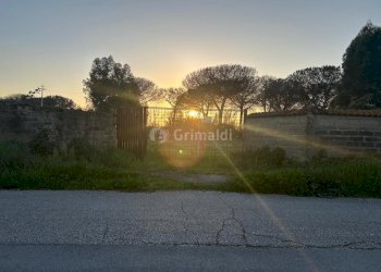 10.jpg - Terreno agricolo Via Gavi 6, Aprilia - foto 10