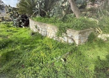 IMG_6840.jpg - Porzione di casa parco fuor del vento, Alassio - foto 9