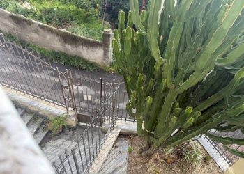 IMG_6881.jpg - Porzione di casa parco fuor del vento, Alassio - foto 17