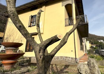 esterni - Villa Via Toscano Magazzini, Prato - photo 5