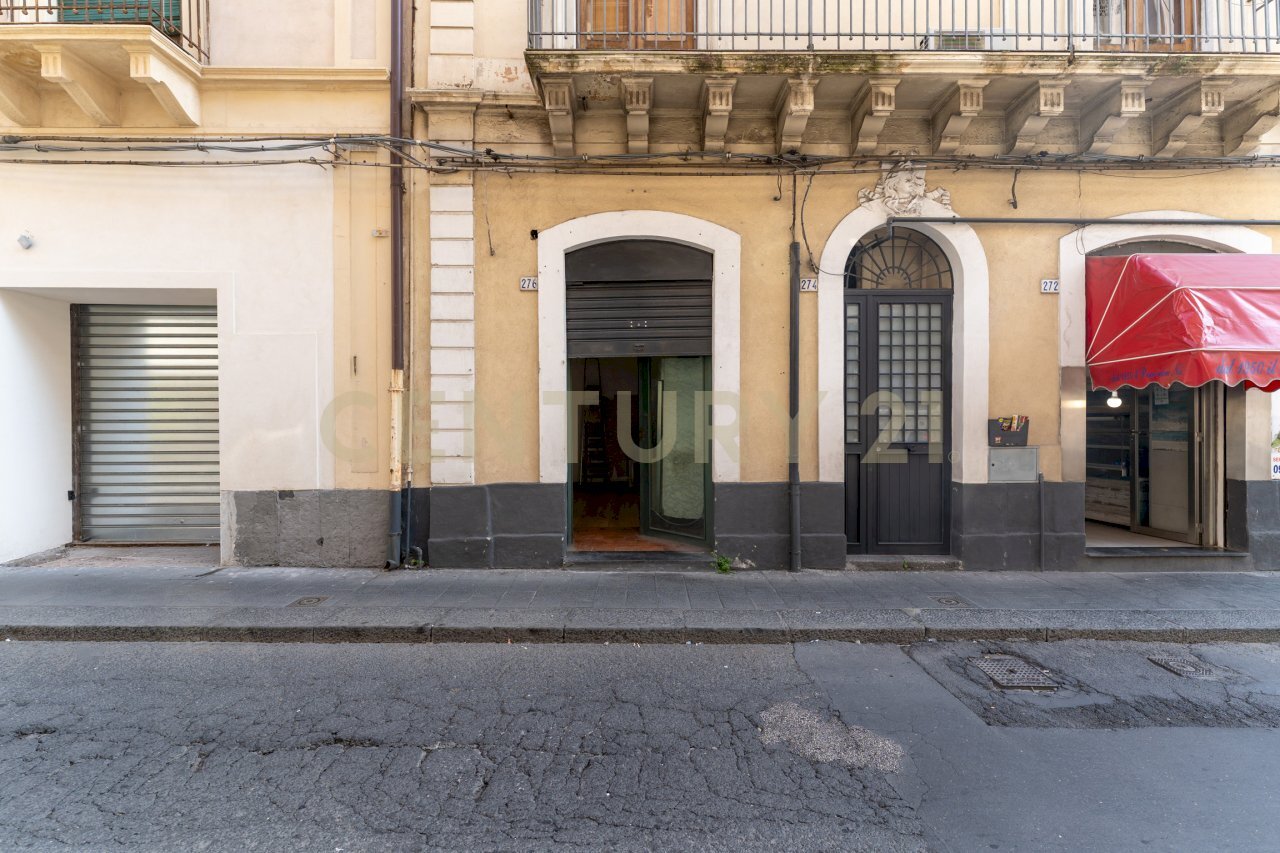Bottega Ventimiglia (2).jpg - Casa indipendente Via Monsignor Ventimiglia snc, Catania - foto 2