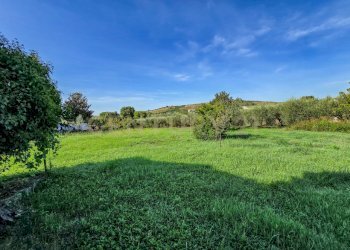 Casale Ribolla-05.jpg - Casa indipendente Via della Collacchia, Roccastrada - foto 14