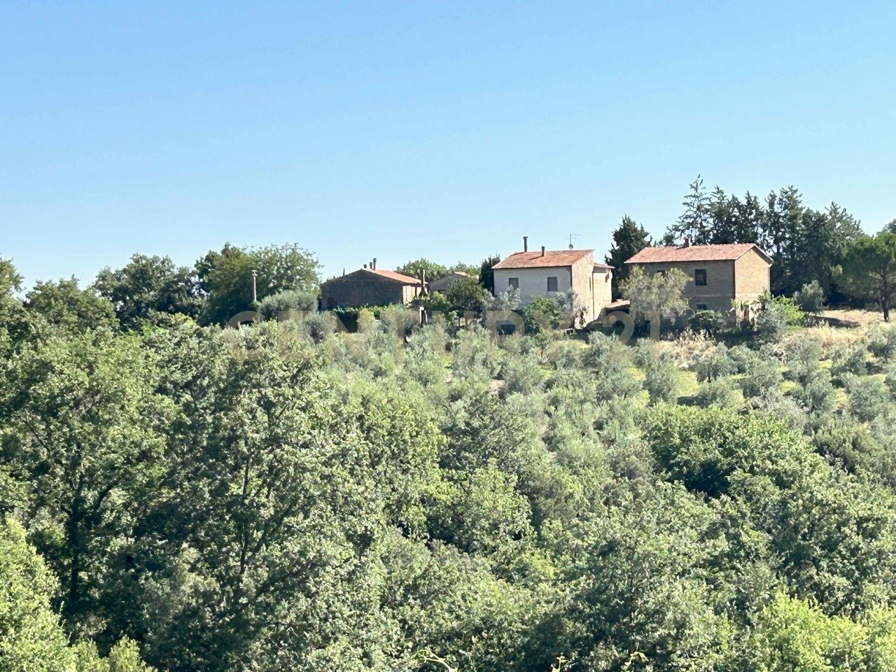 vista da lontano.jpg - Casale Strada Provinciale Voltina 12, Cinigiano - photo 2