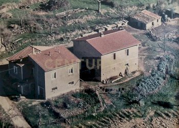 Tenuta Bartalucci-08.jpg - Casale Strada Provinciale Voltina 12, Cinigiano - photo 1