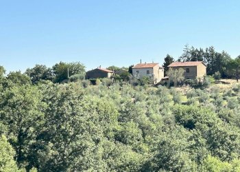 vista da lontano.jpg - Casale Strada Provinciale Voltina 12, Cinigiano - photo 2