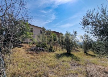 Tenuta Bartalucci-02.jpg - Casale Strada Provinciale Voltina 12, Cinigiano - photo 7