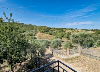 Tenuta Bartalucci-09.jpg - Casale Strada Provinciale Voltina 12, Cinigiano - photo 16