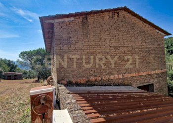 Tenuta Bartalucci-10.jpg - Casale Strada Provinciale Voltina 12, Cinigiano - photo 17