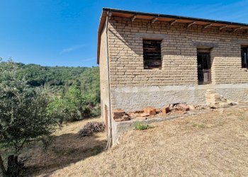 Tenuta Bartalucci-12.jpg - Casale Strada Provinciale Voltina 12, Cinigiano - photo 19