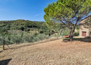 Tenuta Bartalucci-13.jpg - Casale Strada Provinciale Voltina 12, Cinigiano - photo 20