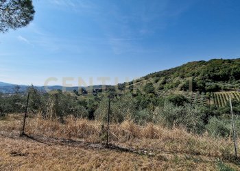 Tenuta Bartalucci-14.jpg - Casale Strada Provinciale Voltina 12, Cinigiano - photo 21