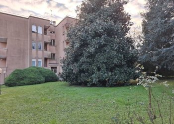 WhatsApp Image 2026-03-24 at 10.29.29 (3).jpeg - Three-room apartment Via Vincenzo Monti 26, Lesmo - photo 17