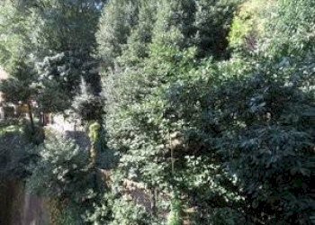 Trilocale Via Carlo Antonio Tavella, 1, Genova (zona Castelletto) - foto 18