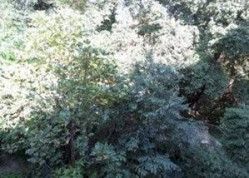 Trilocale Via Carlo Antonio Tavella, 1, Genova (zona Castelletto) - foto 19