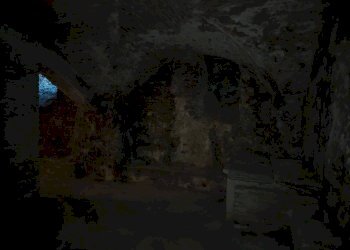 Magazzino Via San Vitale, 36, Bologna - foto 10