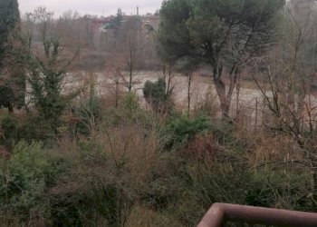 Quadrilocale Via Risorgimento, 7, Casalecchio di Reno - foto 9