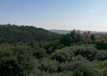 Appartamento Strada Vicinale Saturnia Poggio Capanne, Manciano - foto 22