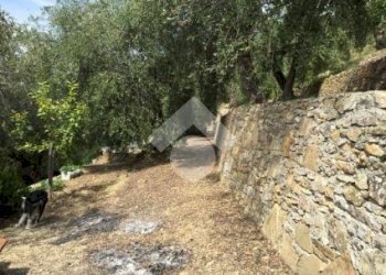 Casa semi indipendente Str. Fuberta, Vallebona - foto 23