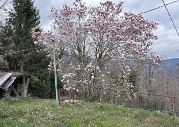 IMG_8581.JPG - Casa indipendente Via Ciazze 37, Borzonasca - foto 18