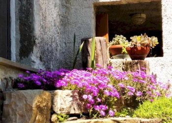 WhatsApp Image 2026-03-02 at 17.39.05 (2).jpeg - Casa indipendente Via Temossi 8, Borzonasca - foto 14