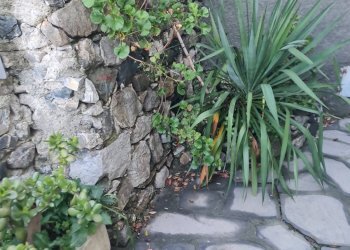 One-room apartment Lemeglio, Moneglia, Moneglia - photo 16