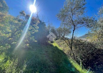 Rustico Via Sapergo, Bordighera - foto 8