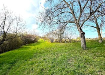 Casa semi indipendente Via Scallaro, Cavagnolo - foto 4