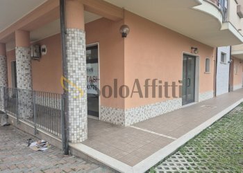 20260220_121109.jpg - Commercial Premises Via Marche, Cepagatti - photo 15