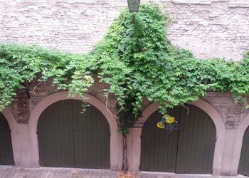 20150917_112136.jpg - Two-room apartment Strada G. Garibaldi 55, Parma - photo 7